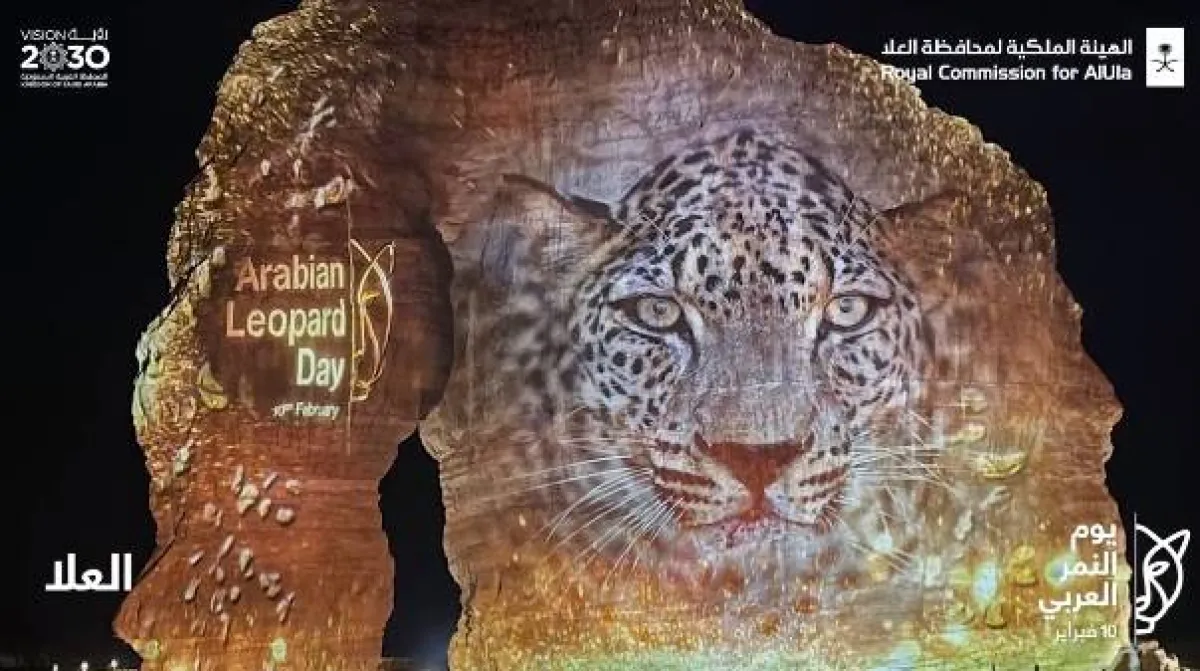 الاحتفال بيوم النمر العربي - الصورة من حساب الهيئة الملكية لمحافظة العلا على تويتر