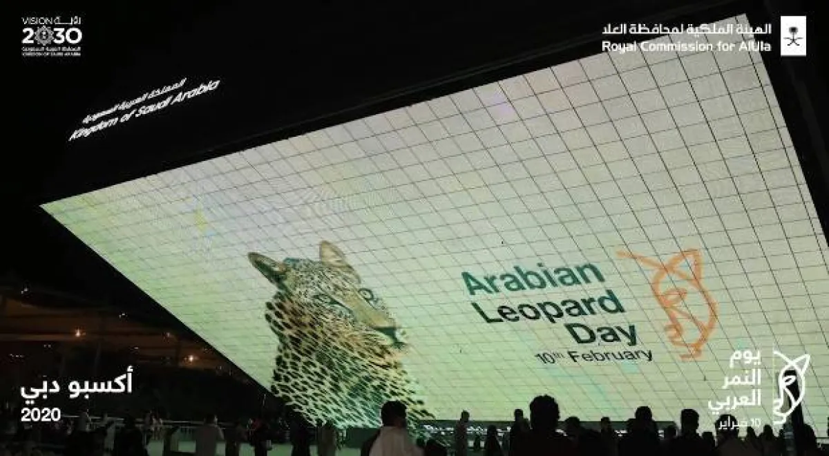 الاحتفال بيوم النمر العربي - الصورة من حساب الهيئة الملكية لمحافظة العلا على تويتر