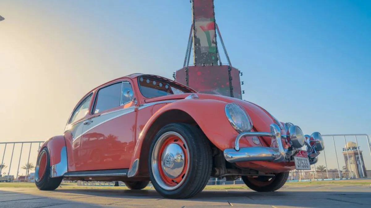 يضم 23 سيارة فريدة . الصورة من "وام"