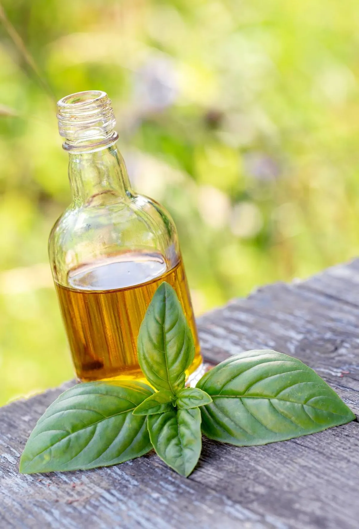 زيت الريحان