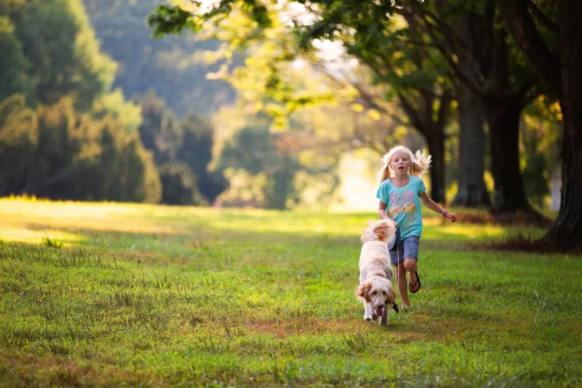 صورة لطفلة تلعب في الحديقة