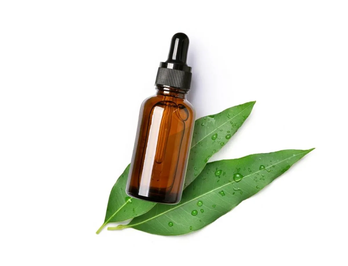 زيت الأوكالبتوس