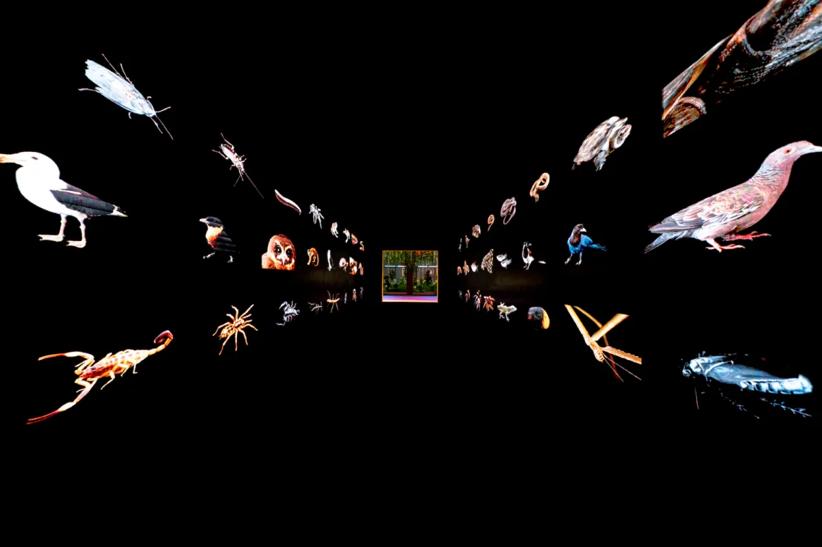 إكسبوجر 2022 فرصة لتقييم صور المحترفين والهواة وأخذ نصائح أفضل مصوري العالم. الصورة من "وام"