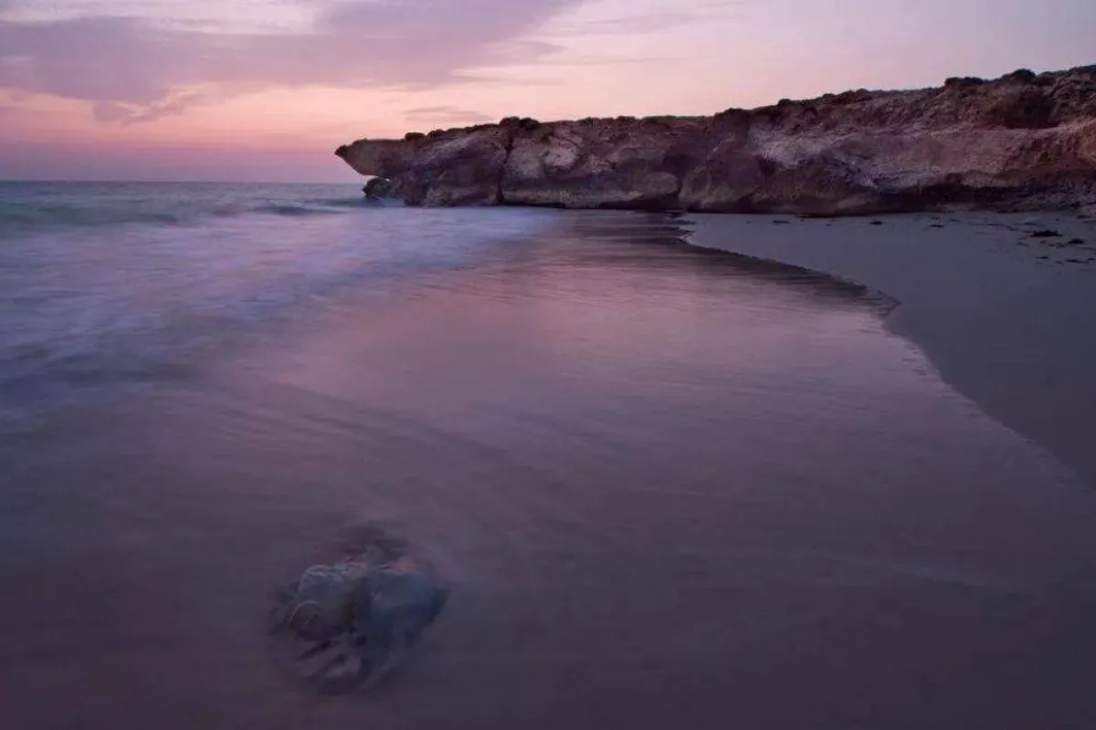 تضاريس المحمية البرية