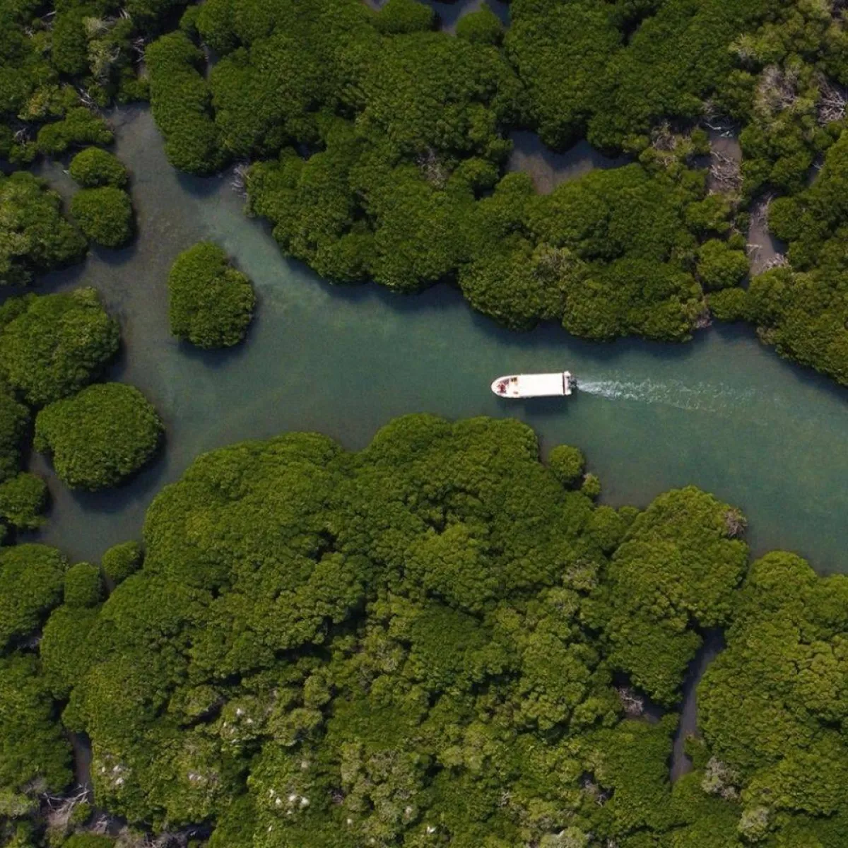 رحلة إلى محمية جزر فرسان