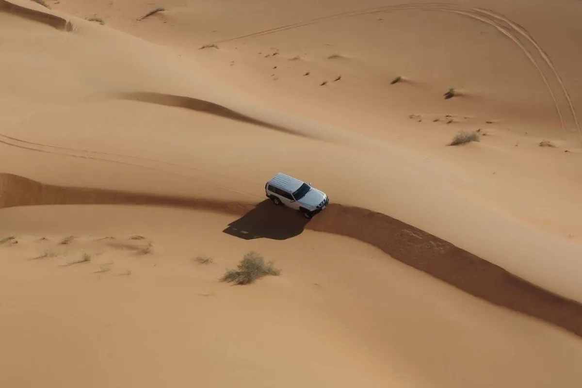 طبيعة محمية عروق بني معارض