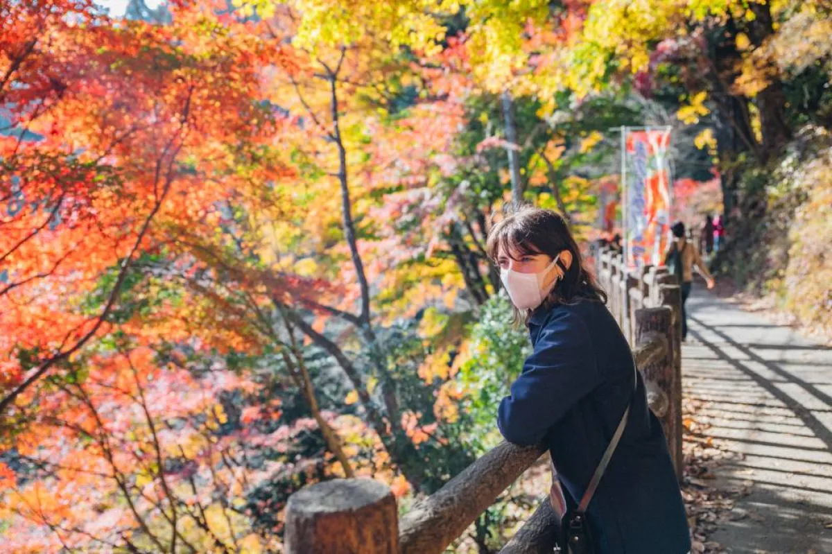 نصائح لسلامة السفر خلال الرحلة السياحية