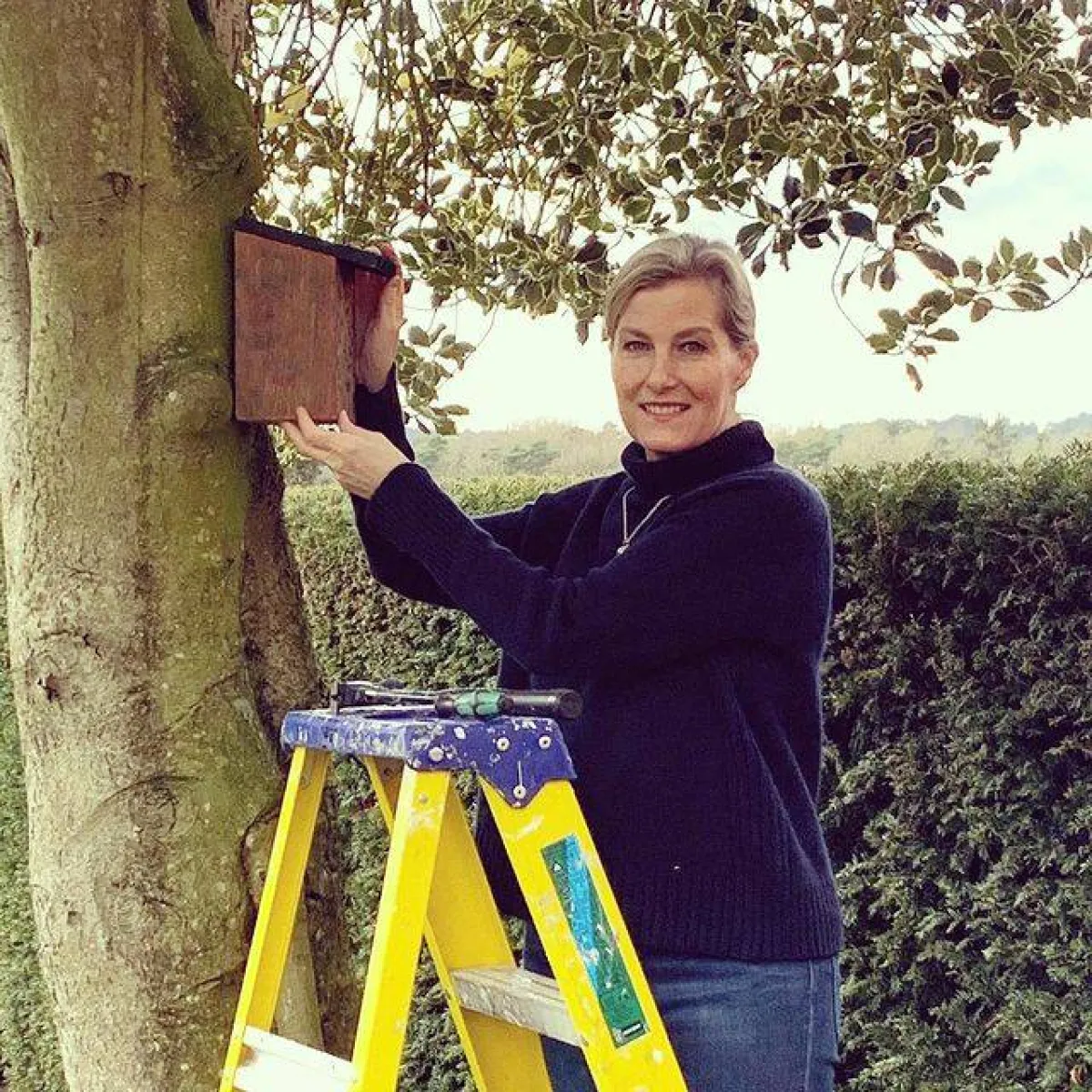 صوفي كونتيسة ويسيكس- الصورة من حساب The Royal Family على إنستغرام