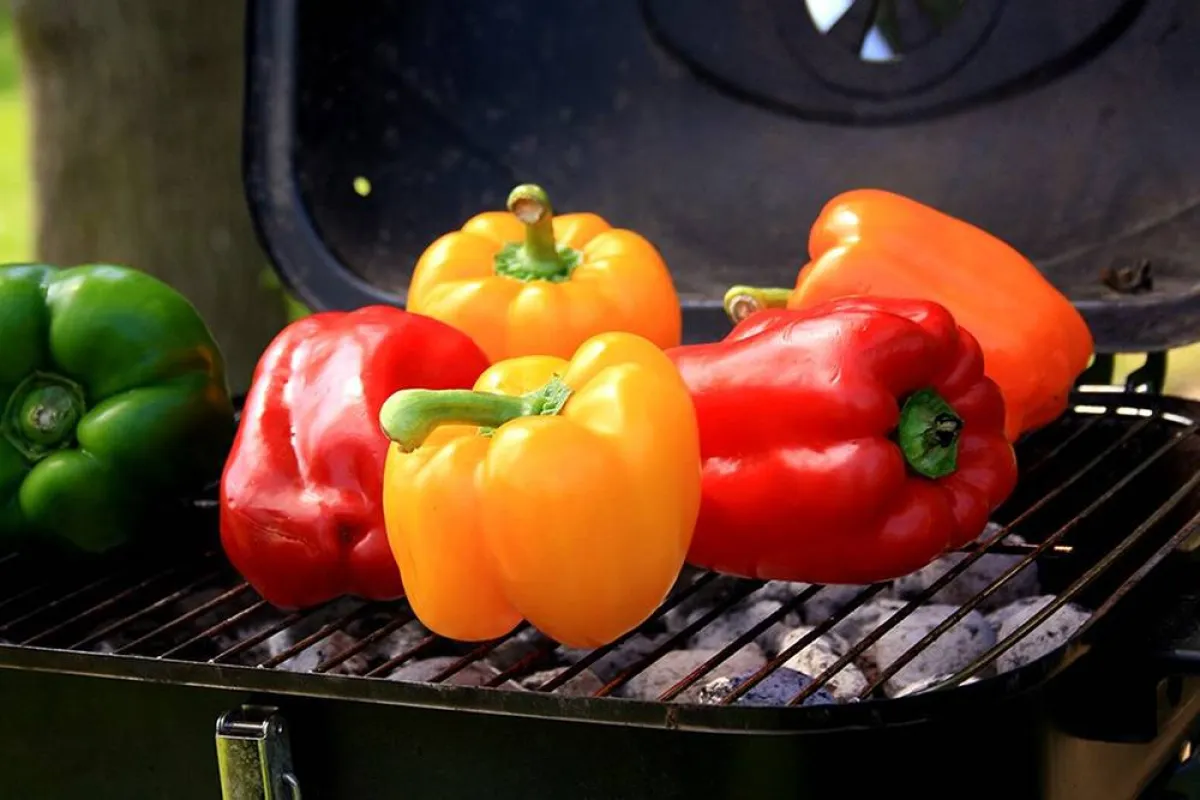 فوائد الفلفل الرومي لا مثيل لها