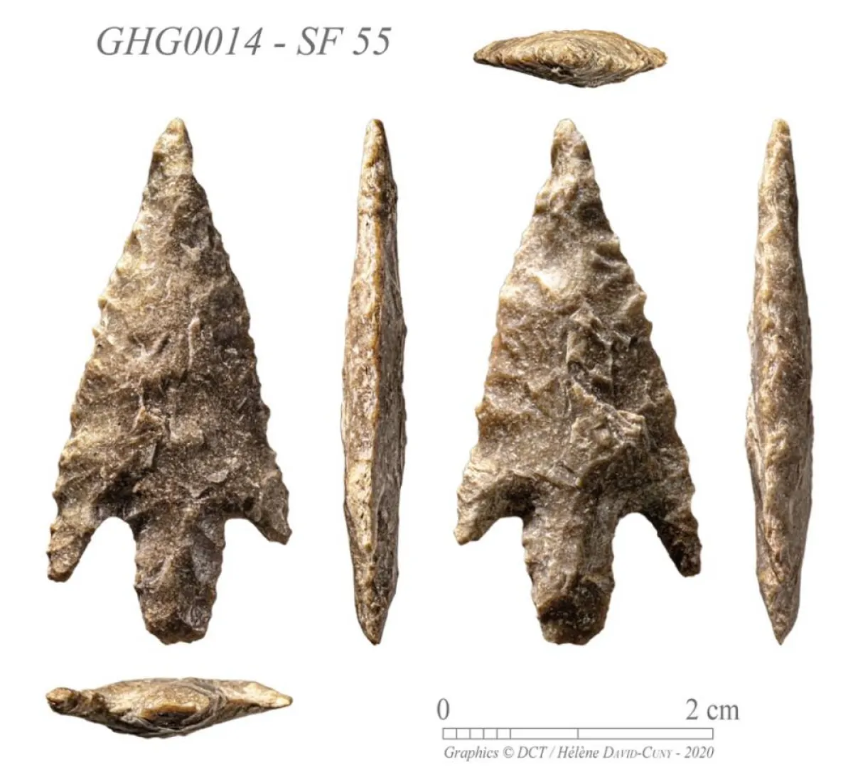 آثار أقدام لقطيع فيلة من نوع قديم منقرض