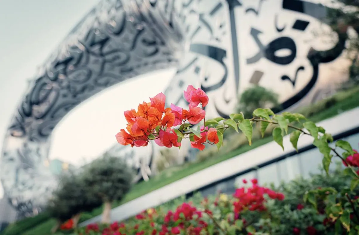 نباتات تروي سيرة الحضارة