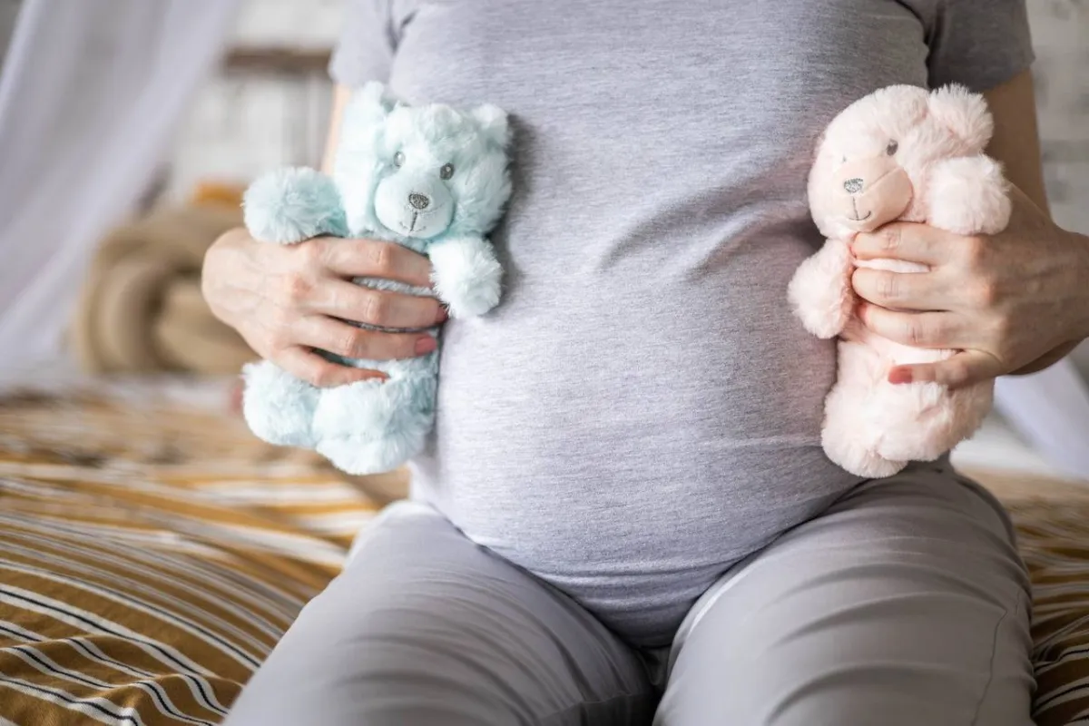 صورة لحامل بتوأمين