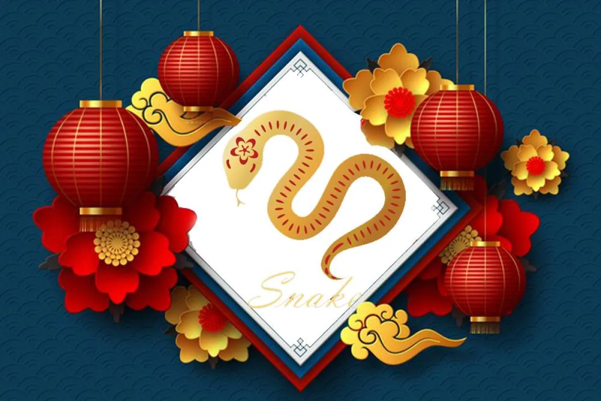 توقعات الأبراج الصينية 2022