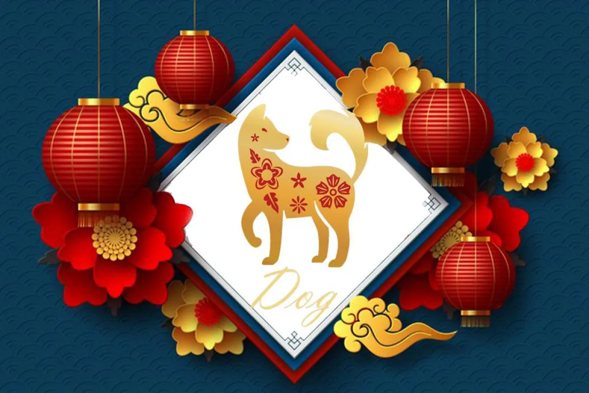 توقعات الأبراج الصينية 2022