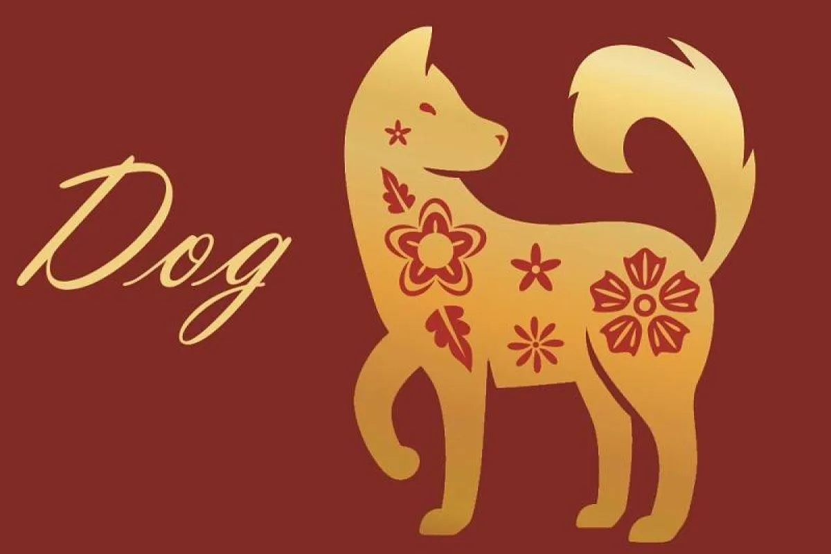 توقعات برج الكلب 2022