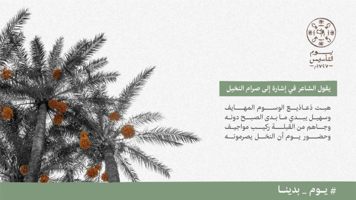 صورة تعبيرية للنخيل رمز شعار يوم التأسيس