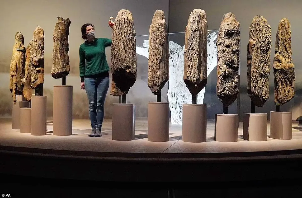 بريطانيا تعرض أقدم يد صناعية عرفتها أوروبا