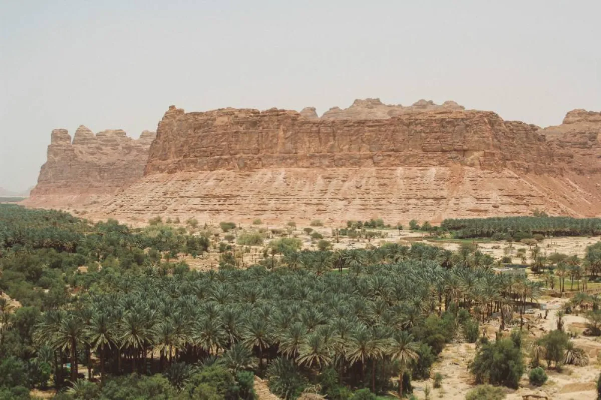 مدينة العلا