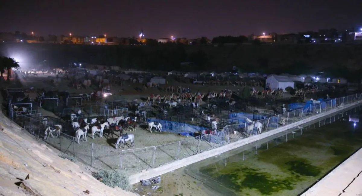 وادي نمار يستعد للاحتفال بذكرى يوم التأسيس