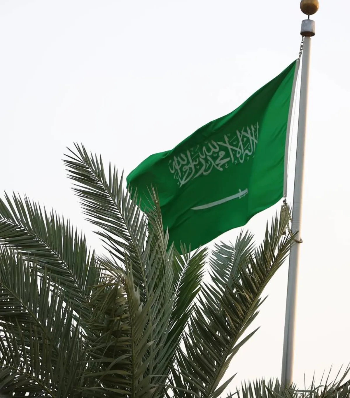 الرياض تتزين بالأعلام وشعار "يوم بدينا" احتفالا بذكرى يوم التأسيس