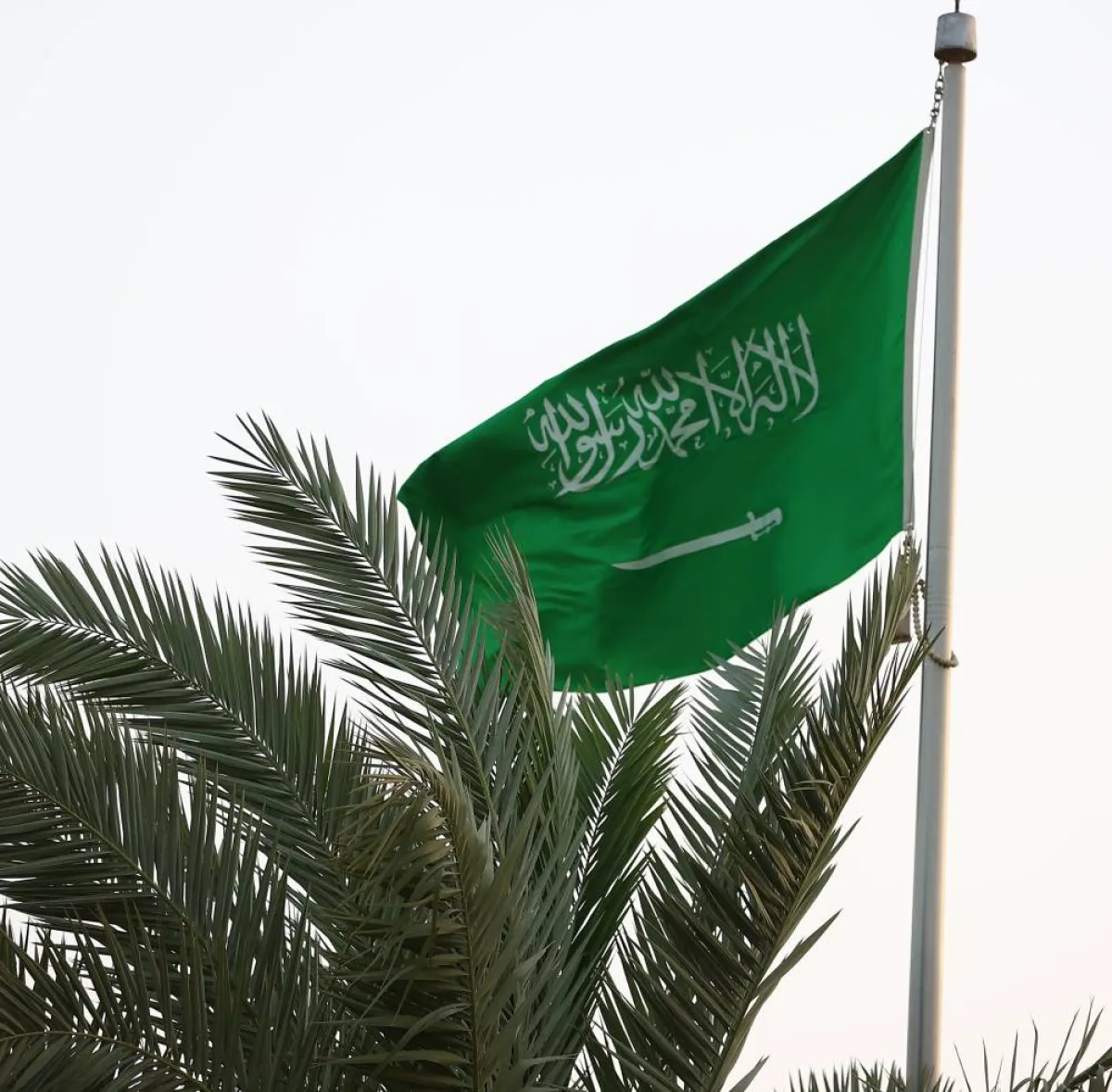 الرياض تتزين بالأعلام وشعار "يوم بدينا" احتفالا بذكرى يوم التأسيس