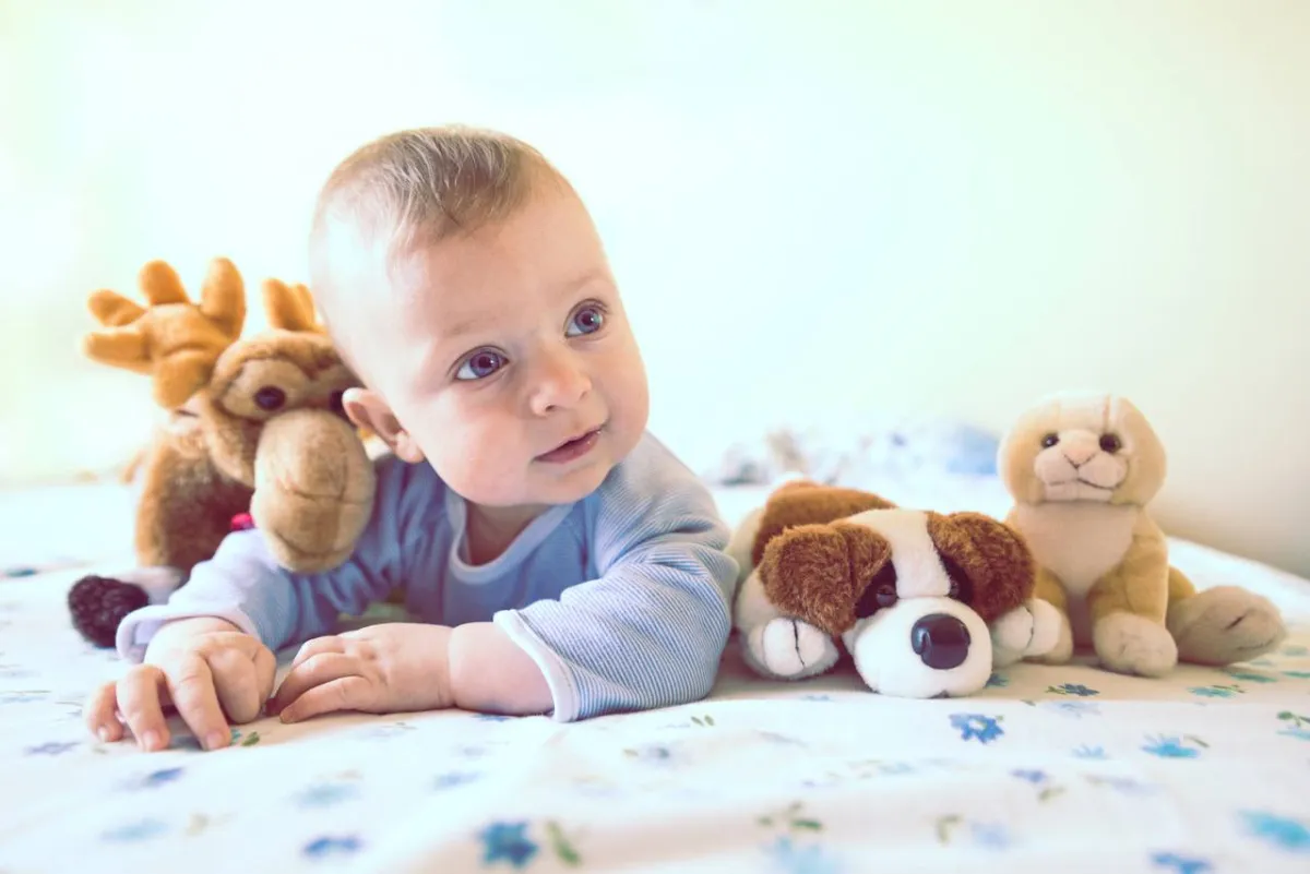 صورة لرضيع مع ألعابه القماشية