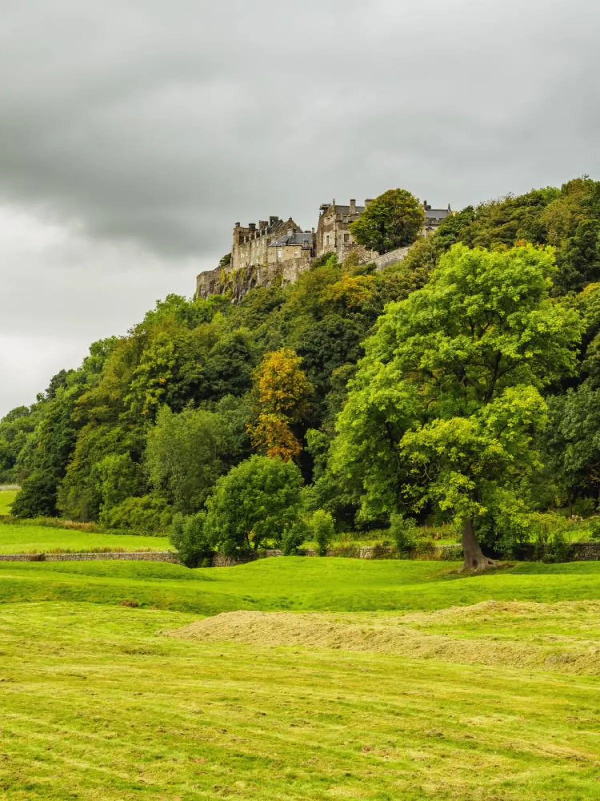 مدينة ستيرلنغ