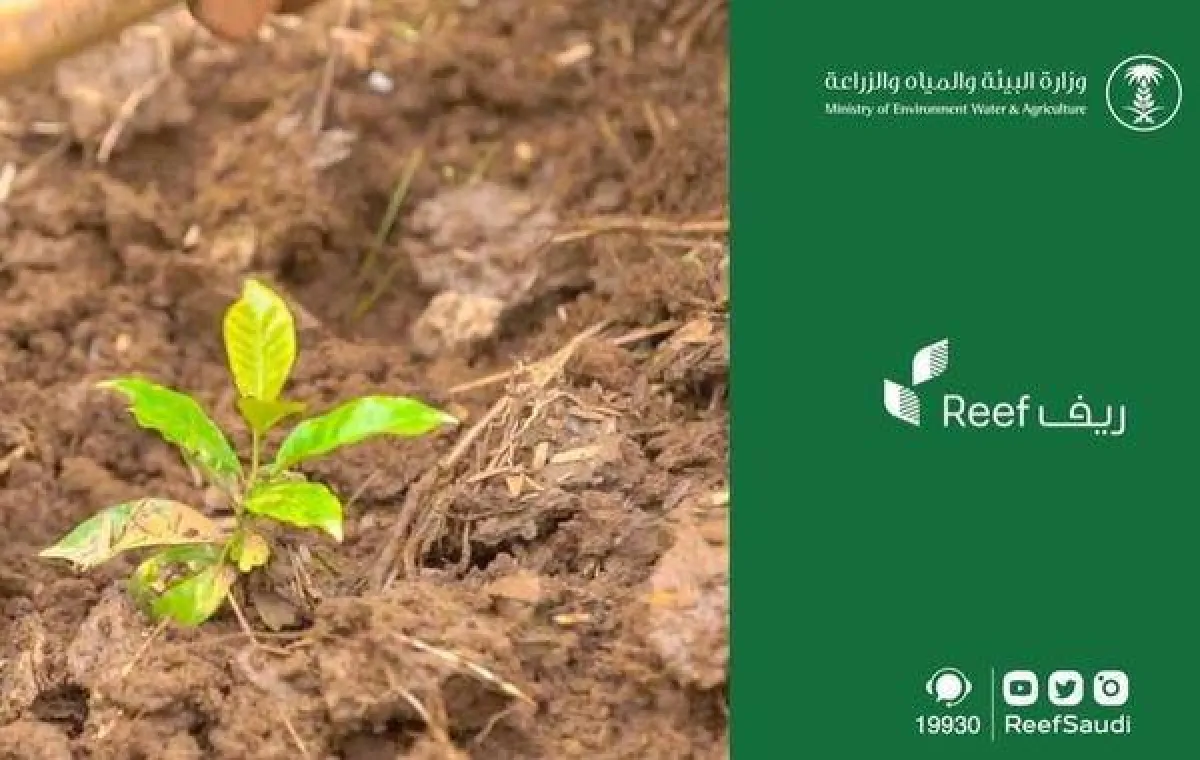 برنامج ريف - الصورة من سيدتي نت