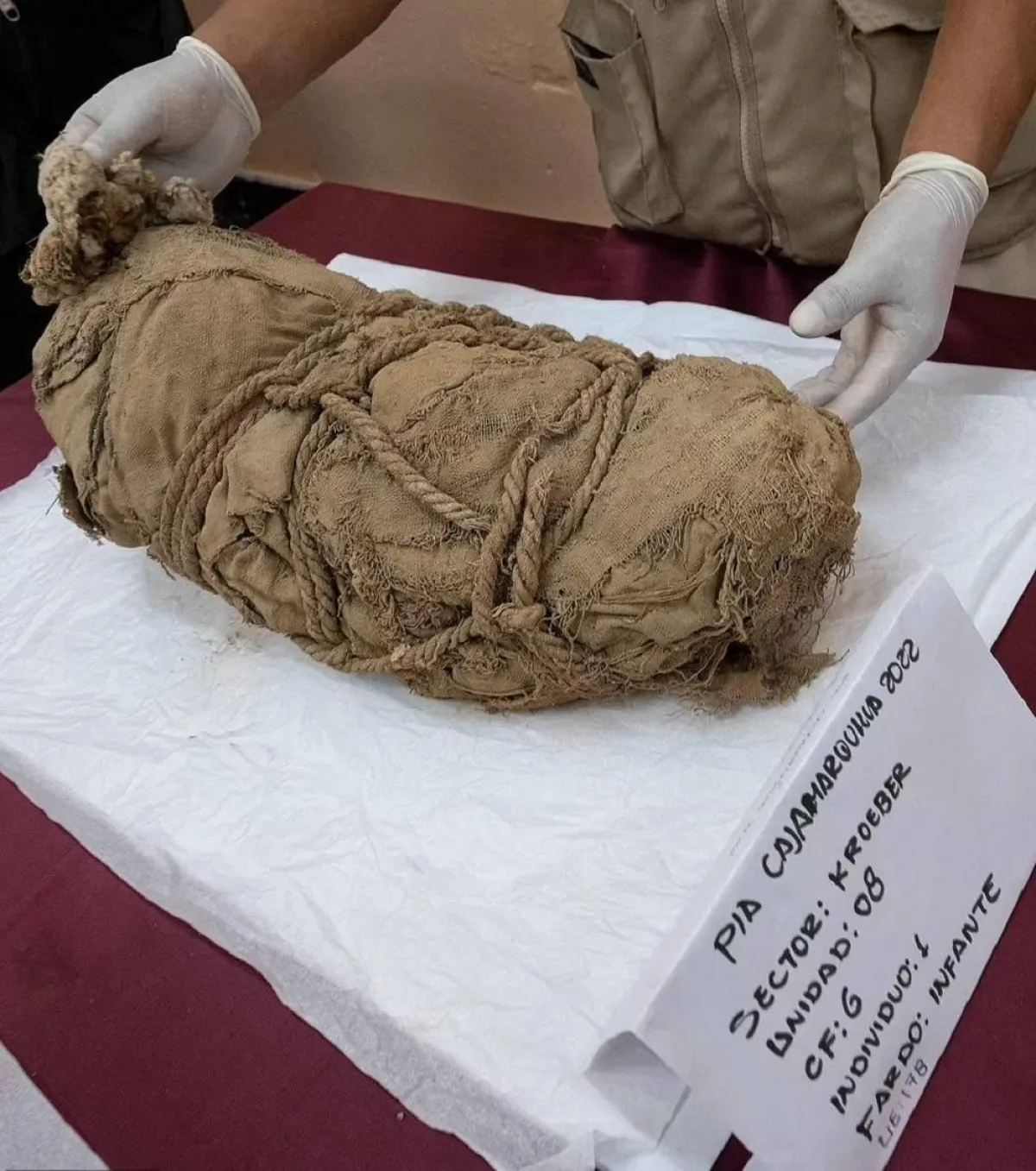 صورة الأطفال المحنطين