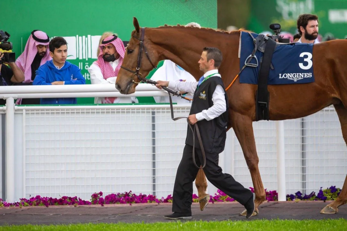 أجواء اليوم الثاني من فعاليات كأس السعودية - الصورة من حساب كأس السعودية على تويتر