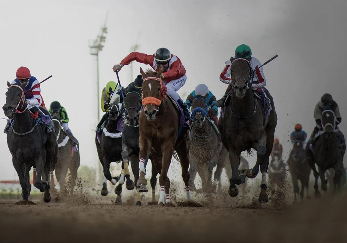 كأس السعودية - الصورة من الحساب الرسمي