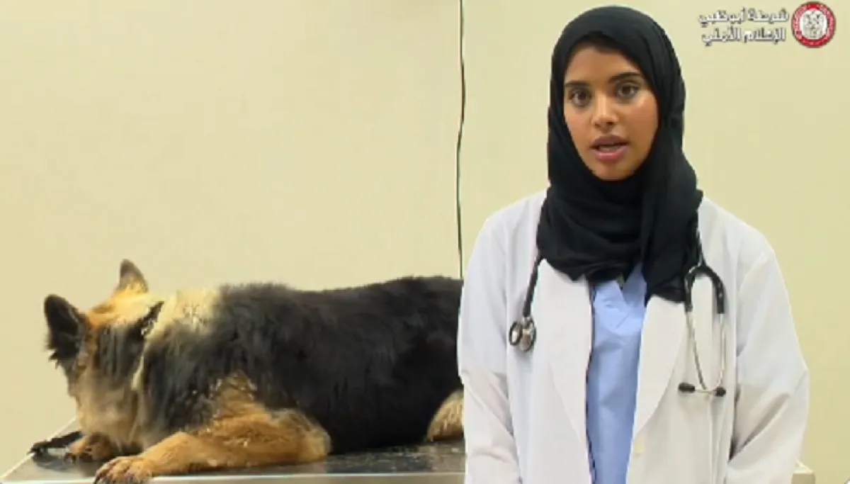 الدكتورة ظبية القبيسي