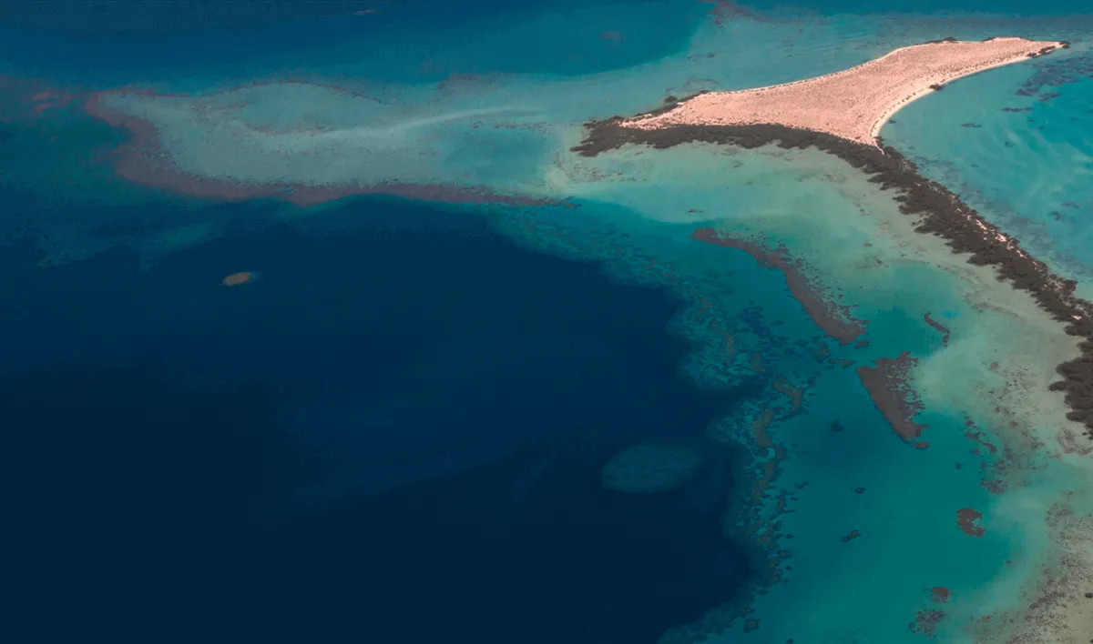 مشروع البحر الأحمر