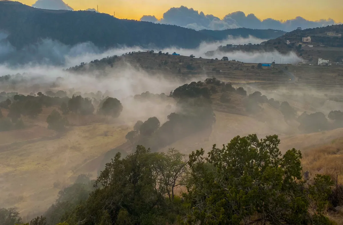 مشروع السودة