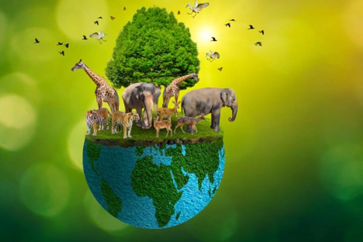 الحياة البرية