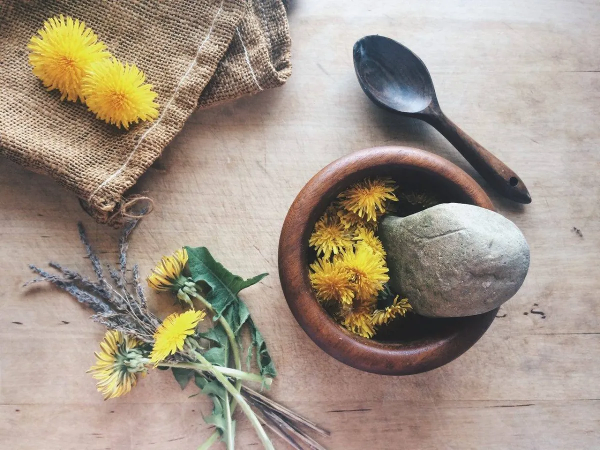 صورة لأعشاب علاجية