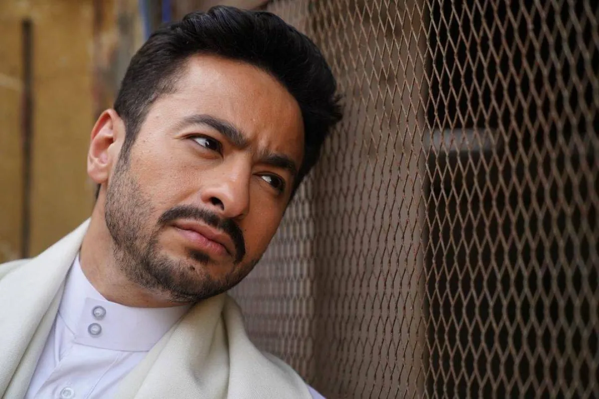 صورة الفنان حمادة هلال - من حسابه على انستجرام