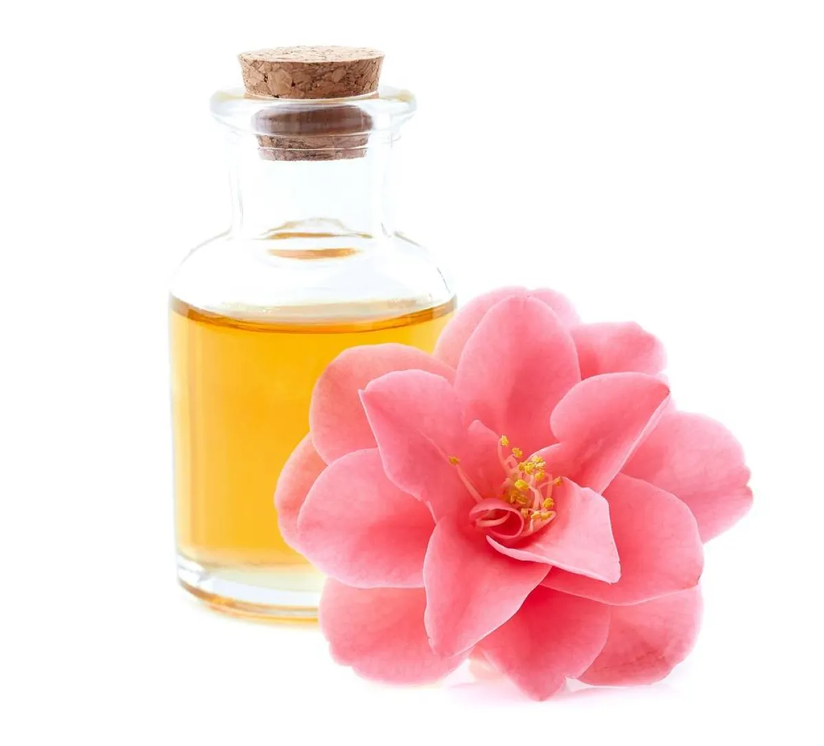 زيت الكاميليا