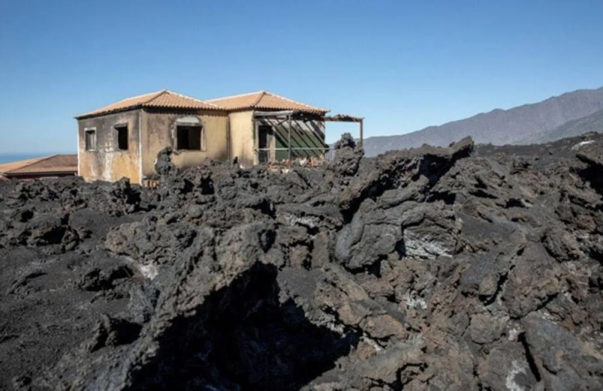 صورة جزيرة لا بالم