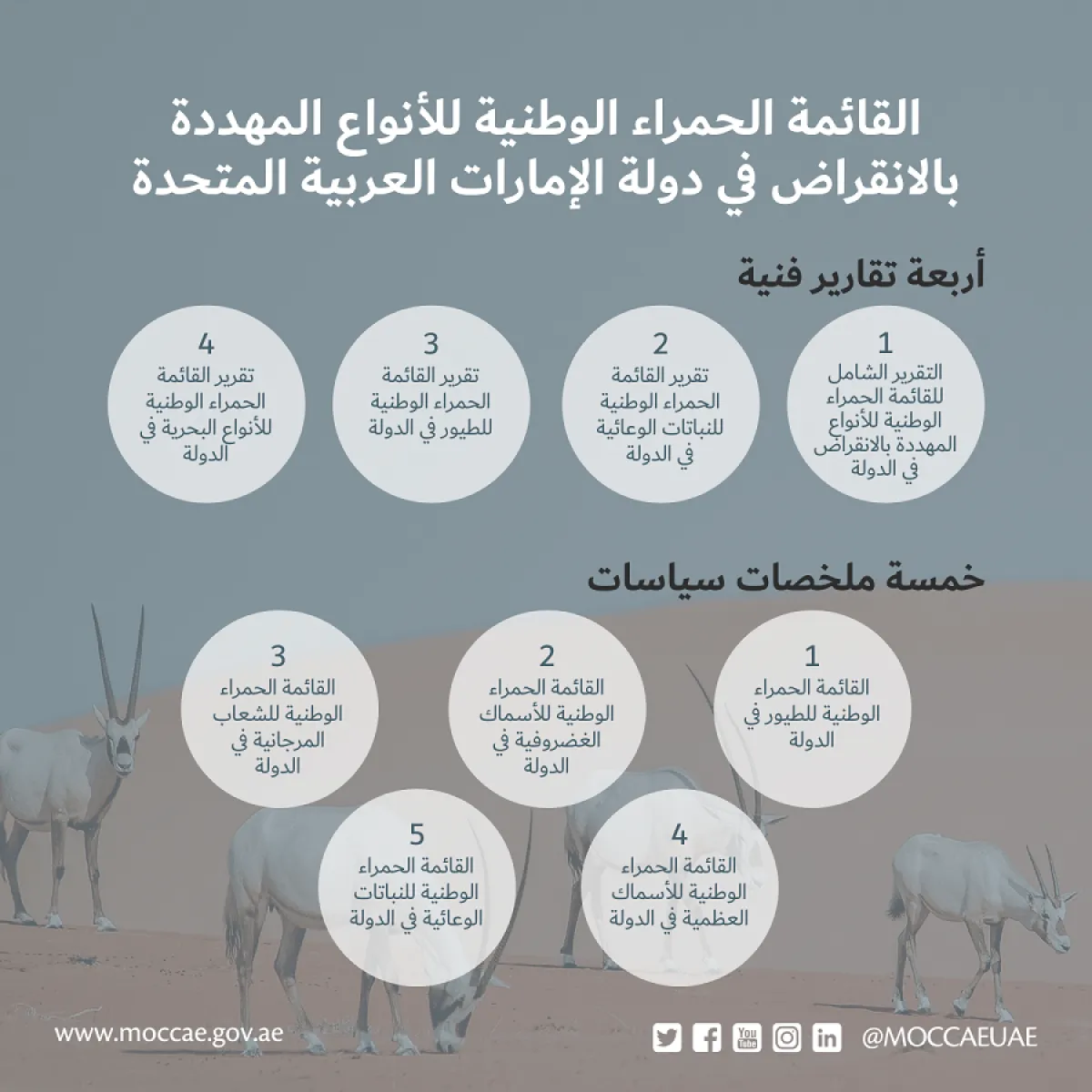 القائمة الحمراء. الصورة من "وام"