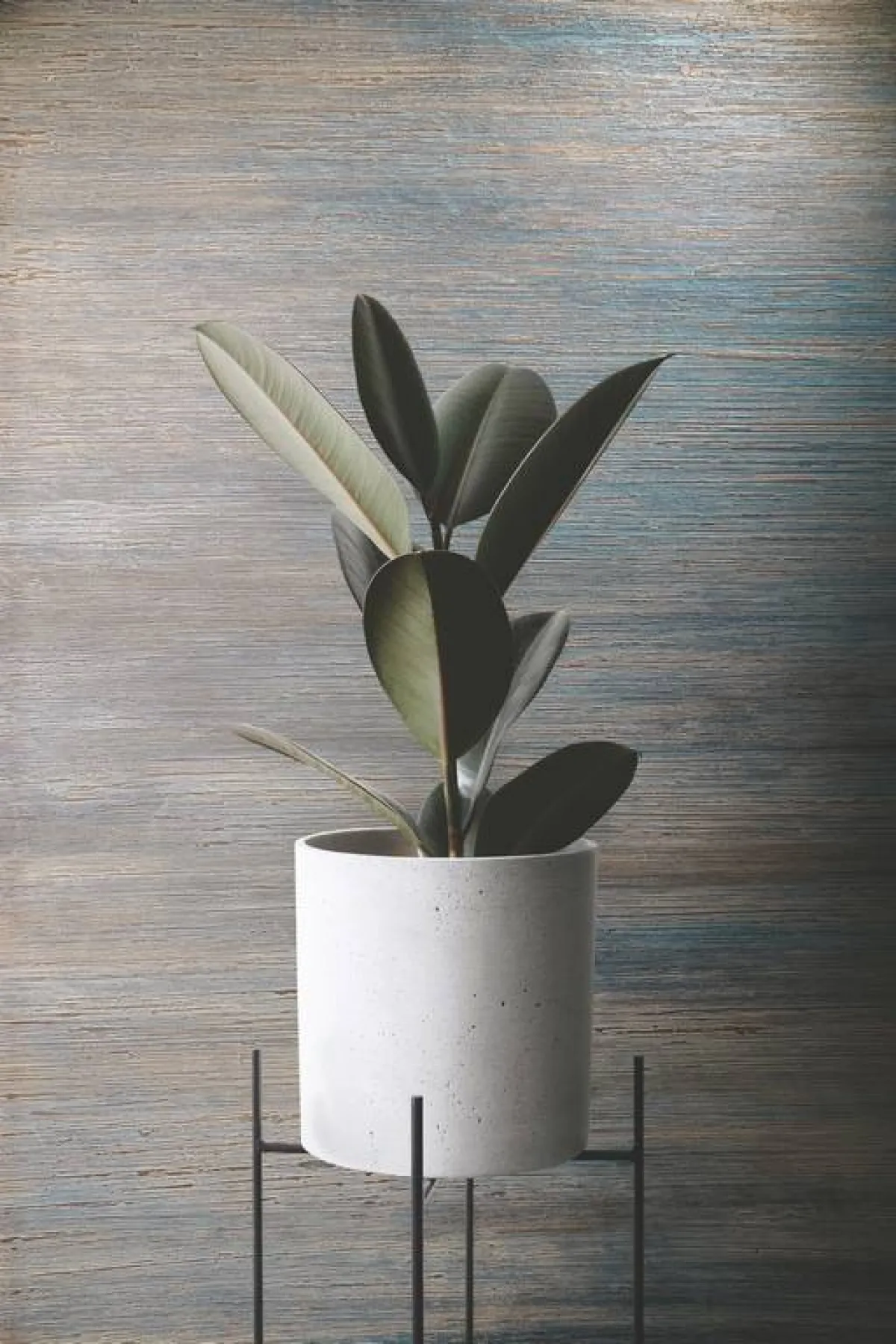 ما هو الجديد في طلاء الجدران؟