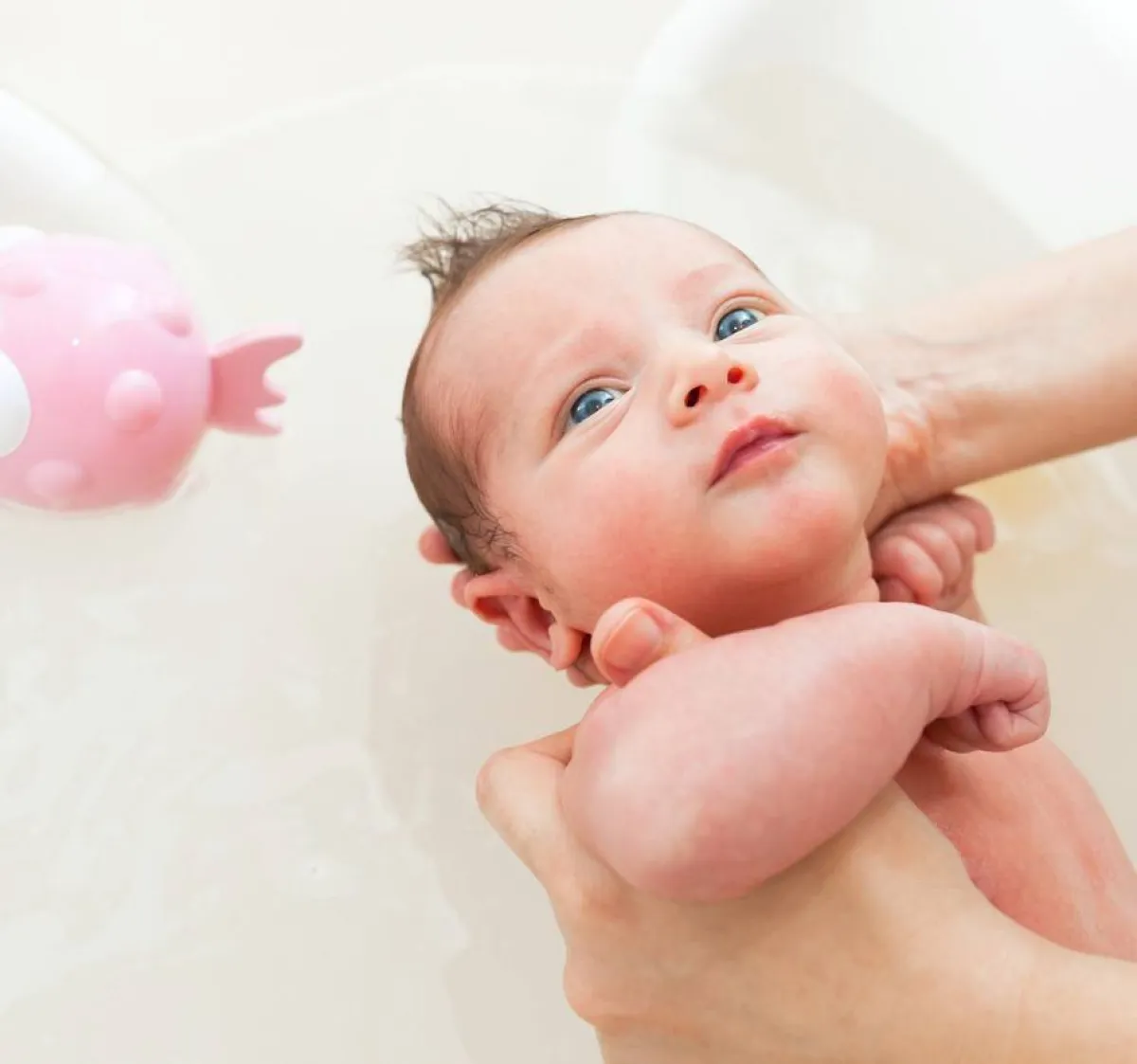 صورة لحمام المولود