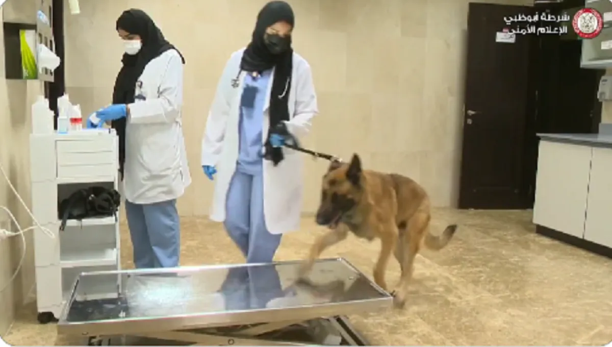 ثلاث طبيبات بيطريات لـK9 في شرطة أبوظبي