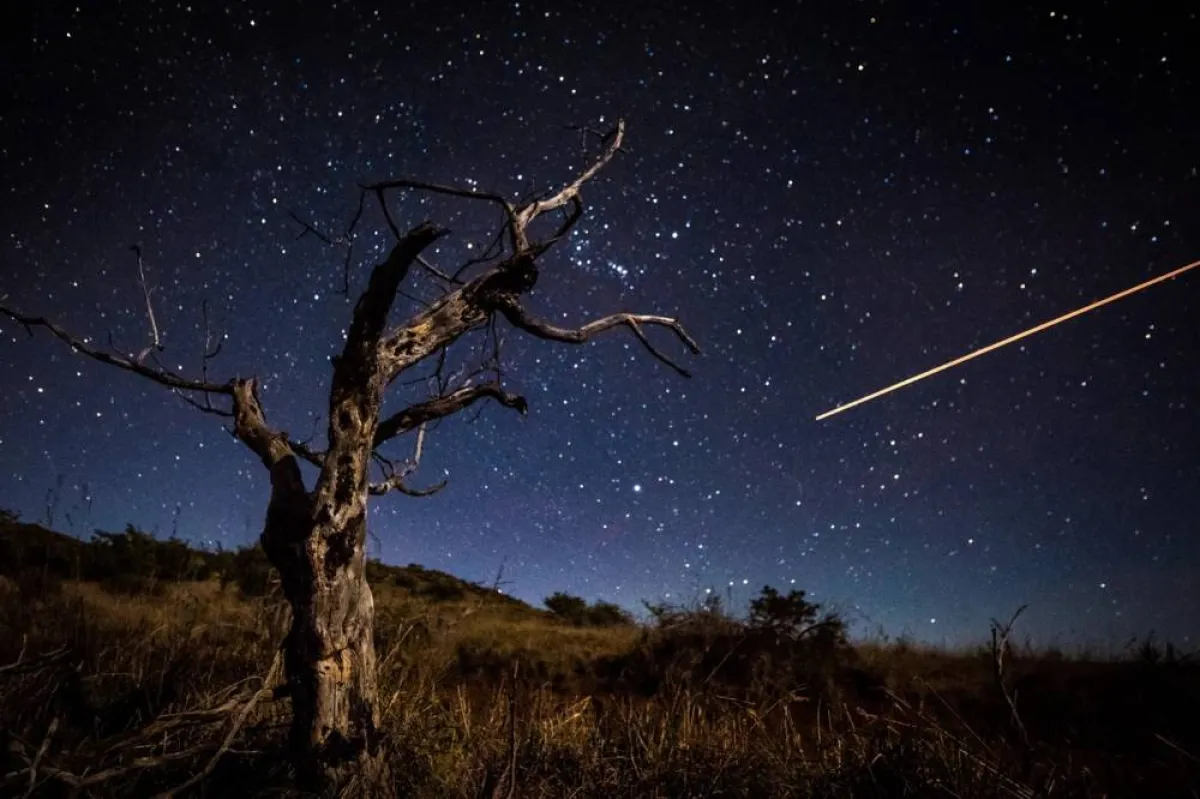 مزاد لبيع الكلب روكي، وشظايا نيازك من القمر والمريخ 