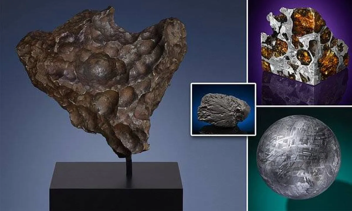 مزاد لبيع الكلب روكي، وشظايا نيازك من القمر والمريخ