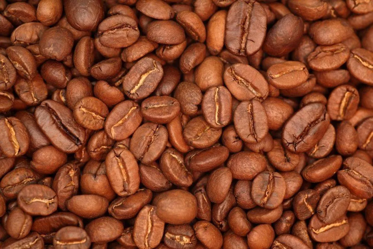 صورة تظهر حمسة البن المتوسطة مصدر الصورة موقع pexel