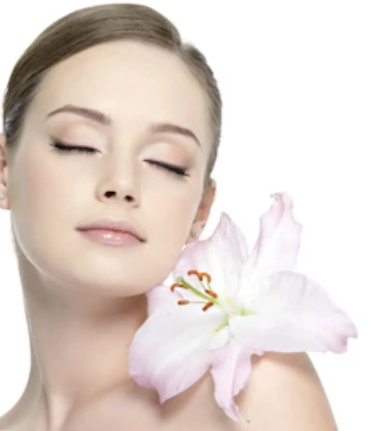 استخدامات زهرة الربيع