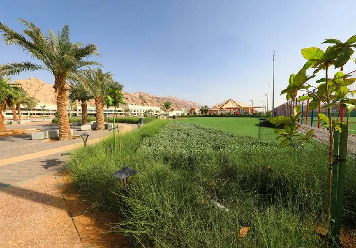 146 حديقة ضمن مشروع حدائق جبل حفيت. الصورة من المكتب الإعلامي لمكتب أبوظبي