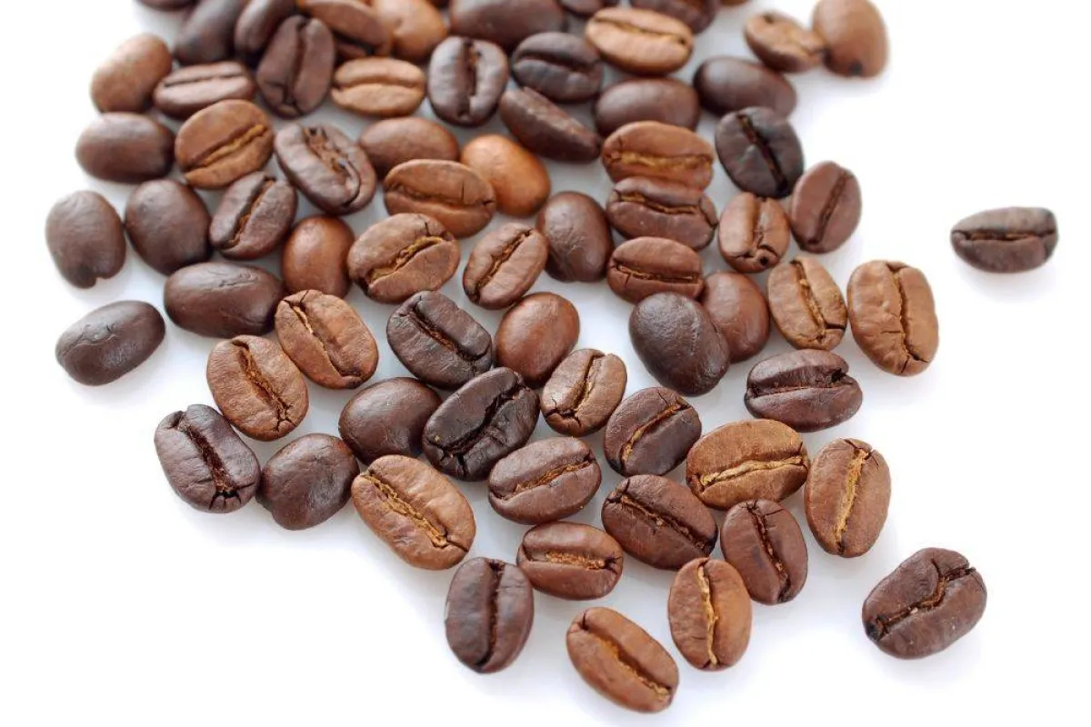 تظهر الصورة ألوان البن مصدر الصورة موقع elements