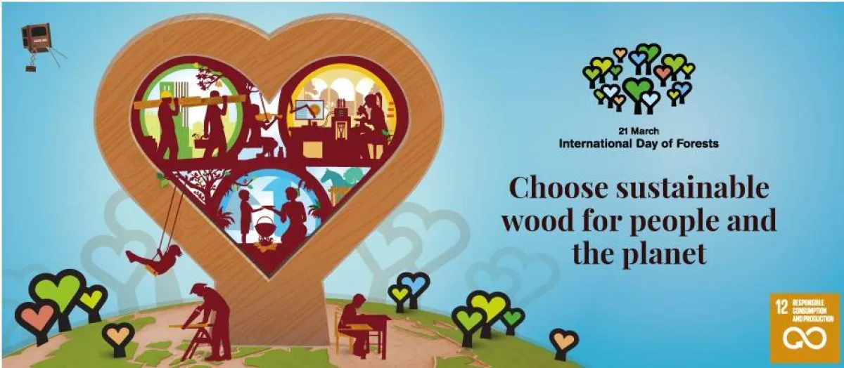 اليوم الدولي للغابات